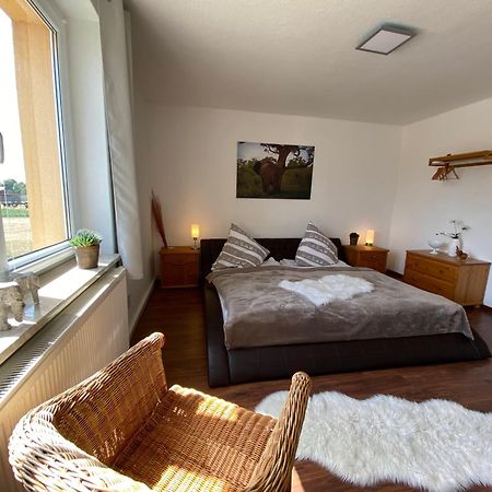 Gelbes Haus Seenland Ferienwohnungen Xl Elsterheide Buitenkant foto