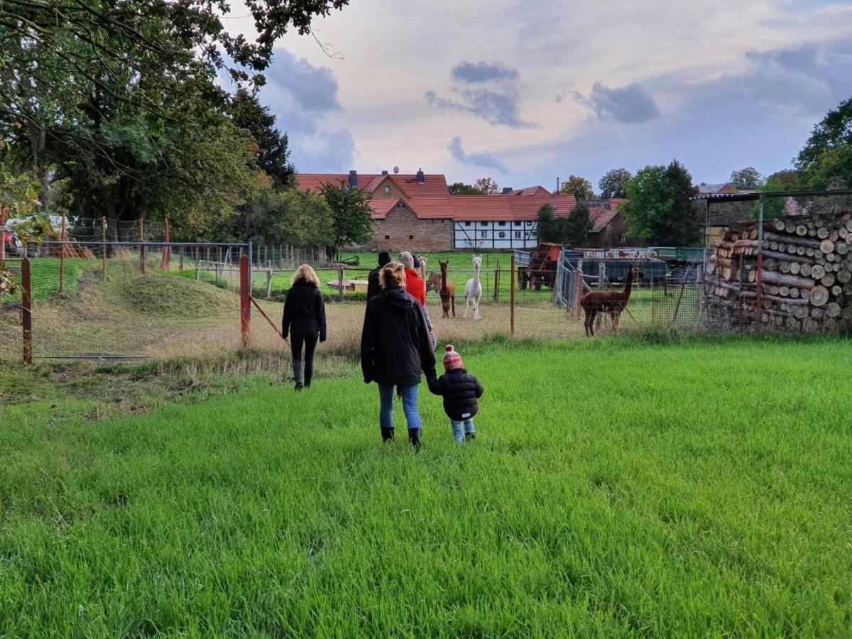 Gelbes Haus Seenland Ferienwohnungen Xl Elsterheide Buitenkant foto