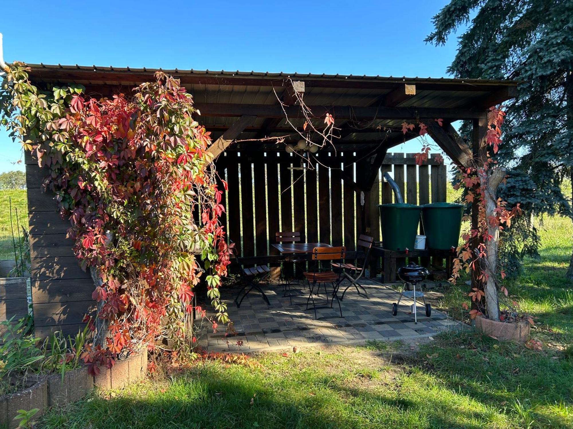Gelbes Haus Seenland Ferienwohnungen Xl Elsterheide Buitenkant foto