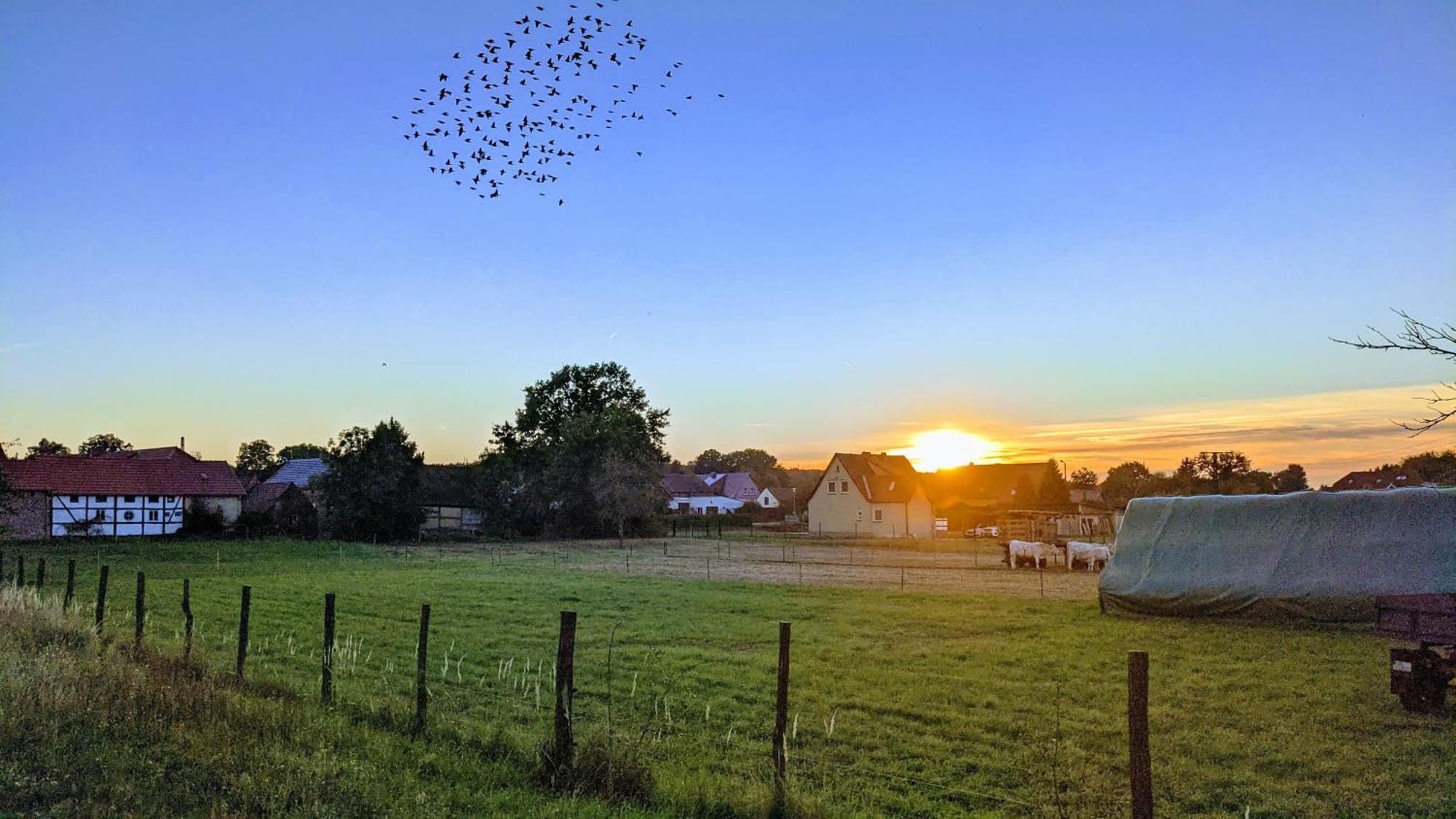 Gelbes Haus Seenland Ferienwohnungen Xl Elsterheide Buitenkant foto