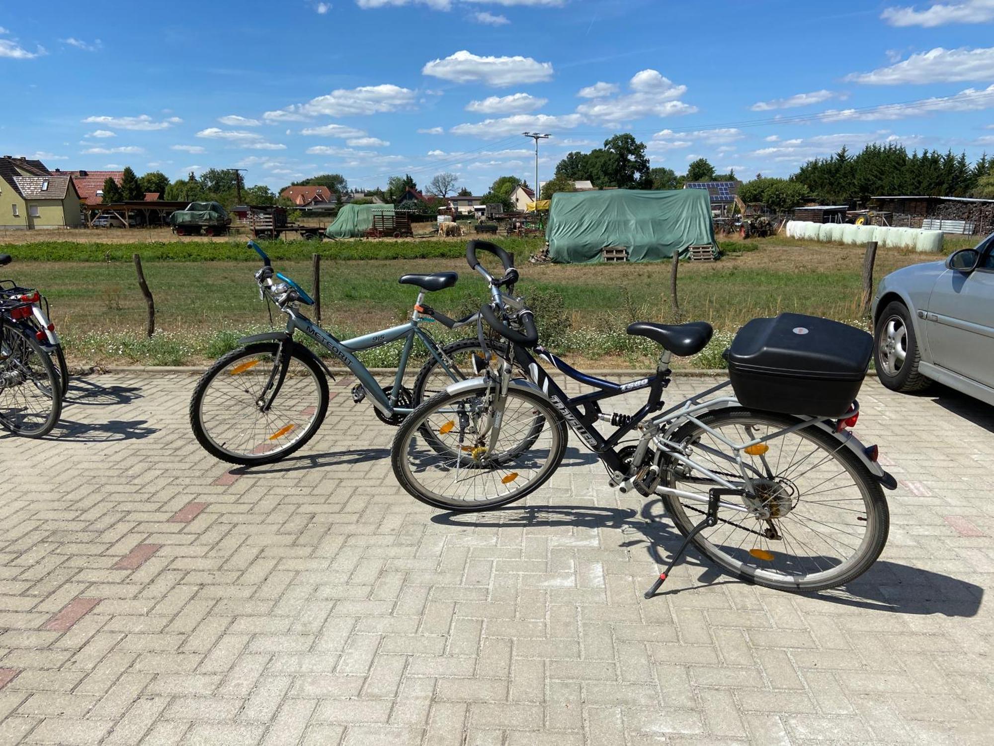 Gelbes Haus Seenland Ferienwohnungen Xl Elsterheide Buitenkant foto